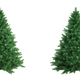 Illustration for article titled Is Cloning the Key to Perfect Christmas Trees?